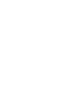 Intense AI Employee